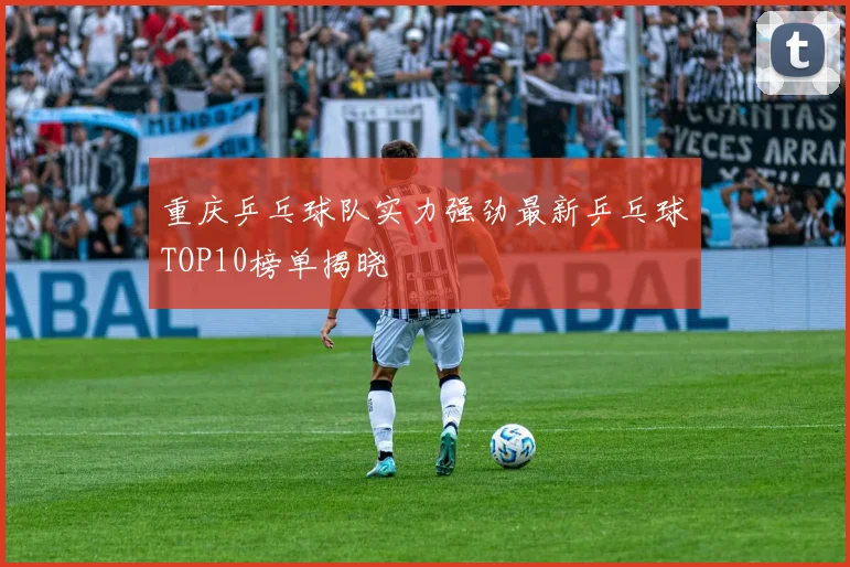 重庆乒乓球队实力强劲最新乒乓球TOP10榜单揭晓